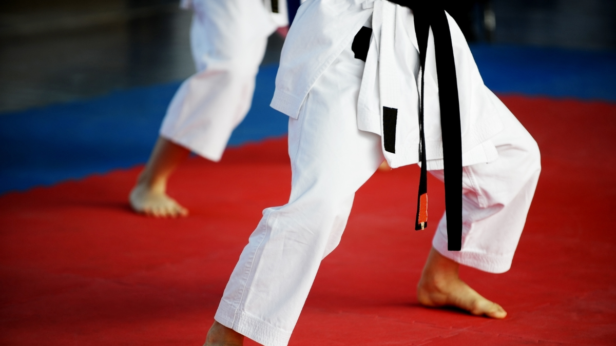 Martial arts pool photo 6