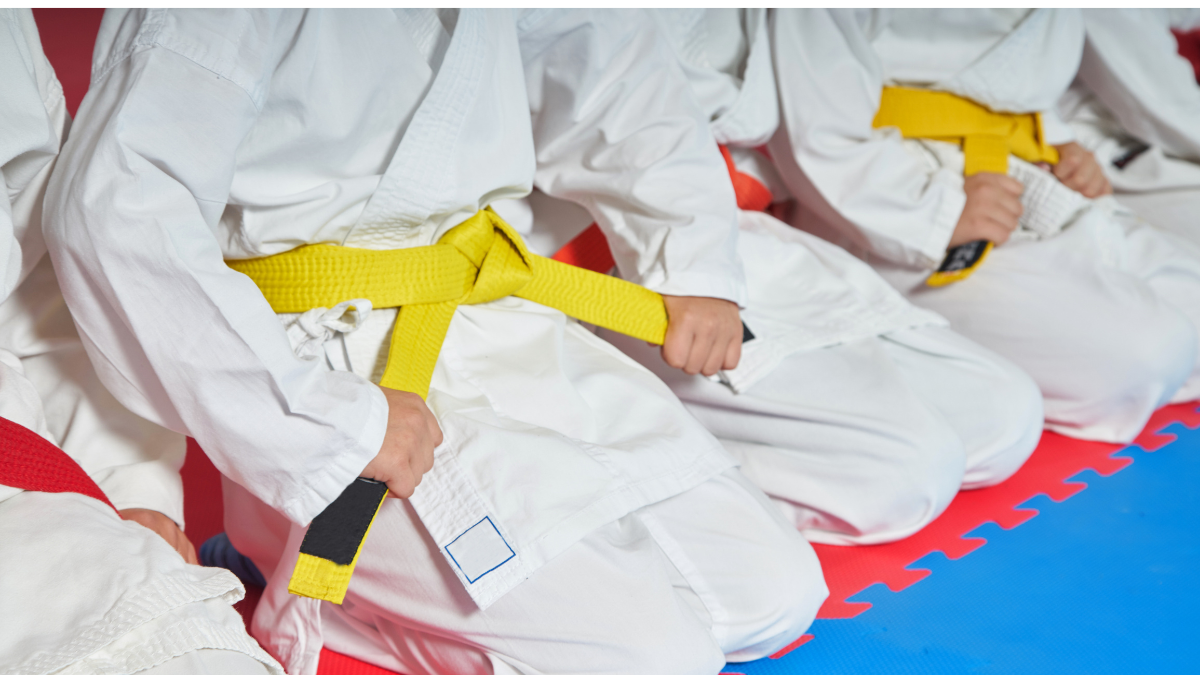 Martial arts pool photo 7